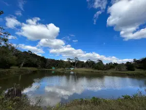 Thung Kamang
