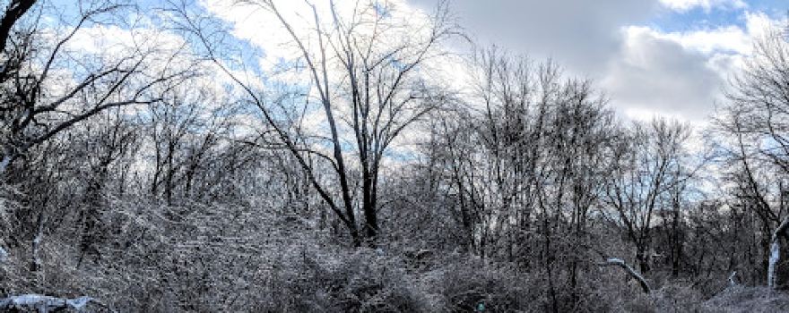 Ellsworth McAfee Park