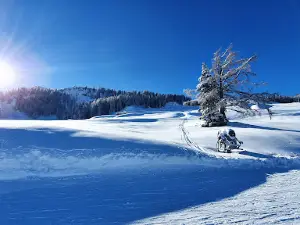Nassfeld