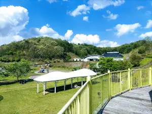 Minari Playground