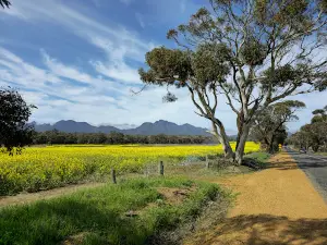 Bluff Knoll