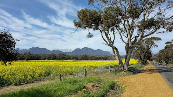Bluff Knoll