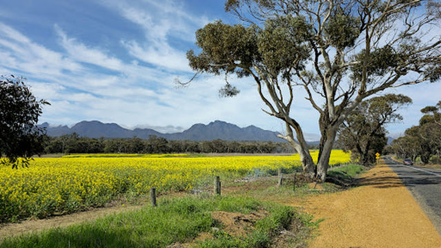 Bluff Knoll