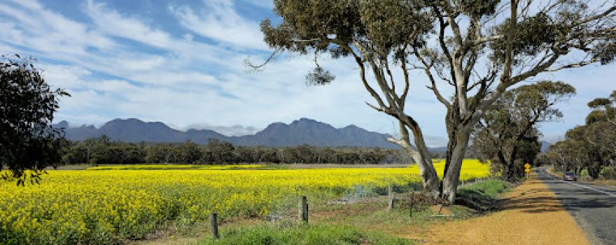 Bluff Knoll