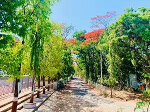 Damanganga River Front