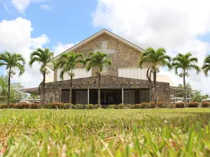 St Francis of Assisi R.C Church
