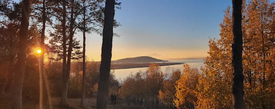 Çakırbey Piknik Alanı