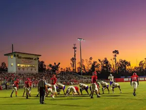 Bowles Field