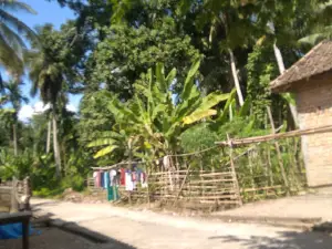 Pantai Korto