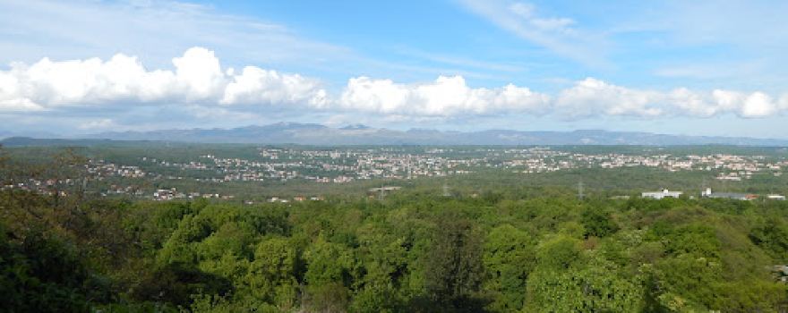 Kastavska šuma