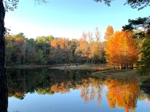 Lake Bob Sandlin