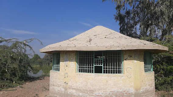 Langh Lake Wildlife Sanctuary, لنگھ ڍنڍ