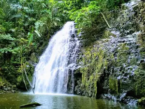 BUKIT KUJAU