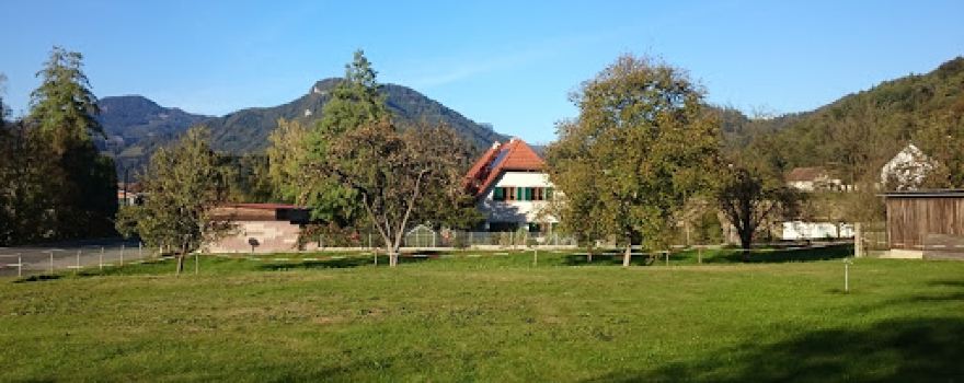 Camping Lanzmaierhof