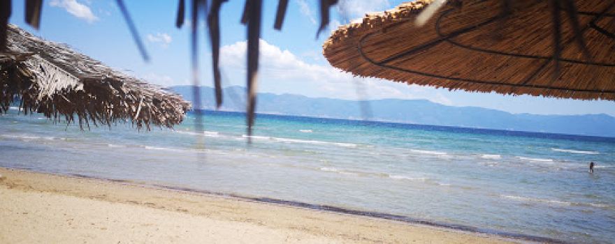 Barracuda Beach Bar