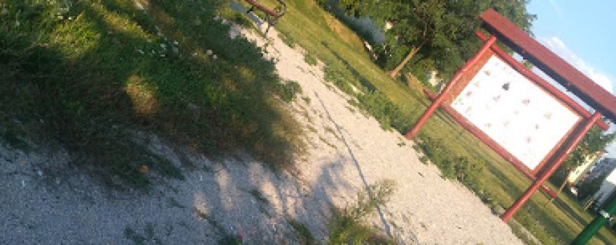 Park kráľa Žigmunda