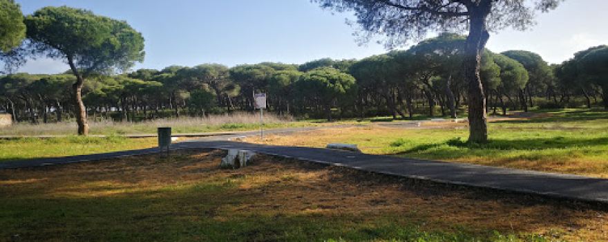 Campo de Fútbol Municipal de Aljaraque