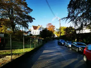 Svanedammen