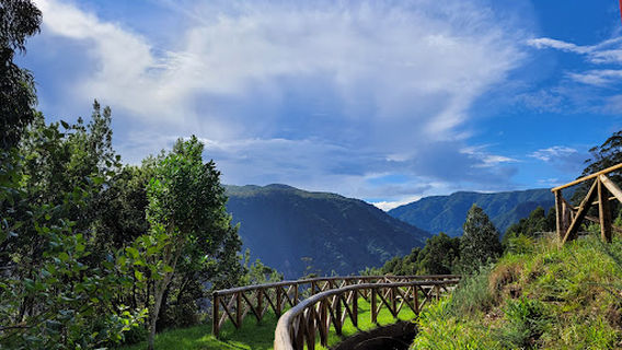 Levada da Ribeira da Janela