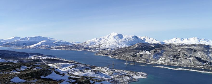 Kvitnesveten
