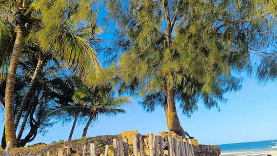 KiteMotion Kiteschool in Soul Breeze