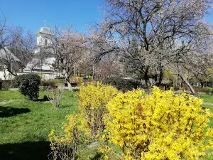 Parc Robert Schuman Focşani