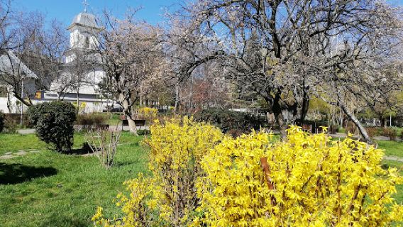 Parc Robert Schuman Focşani