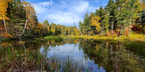 Dwight's Point & Pokegama Wetlands State Natural Area