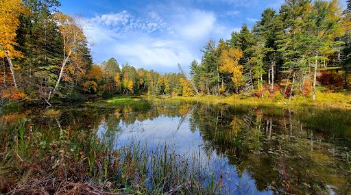 Superior Municipal Forest