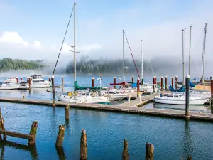 Port of Siuslaw Campground