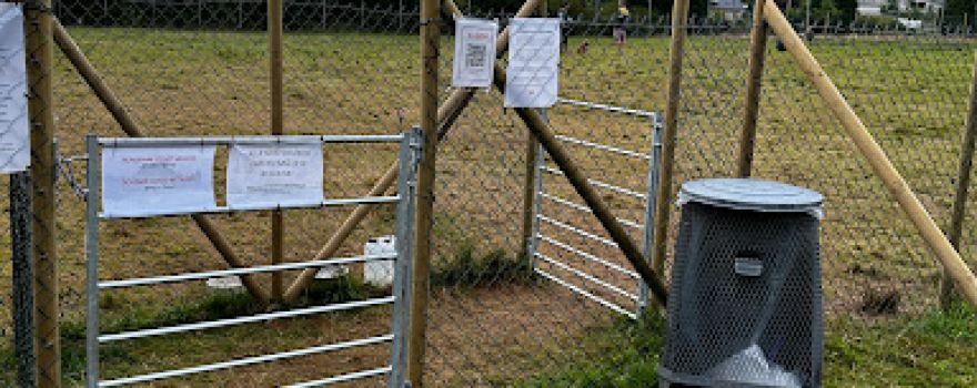 Strand hundepark