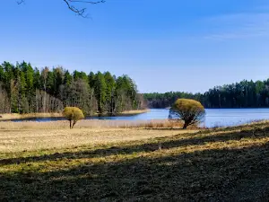Saare järve õpperada