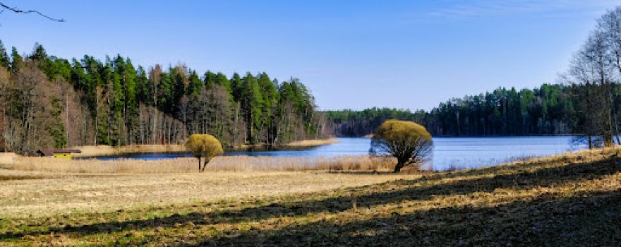 Saare järve õpperada