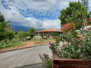 Enciso Main Park