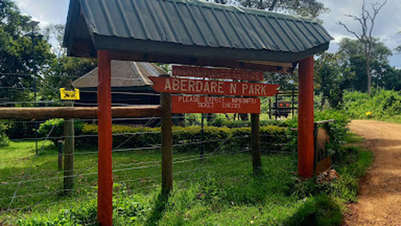Ark Gate KWS Aberdare National Park