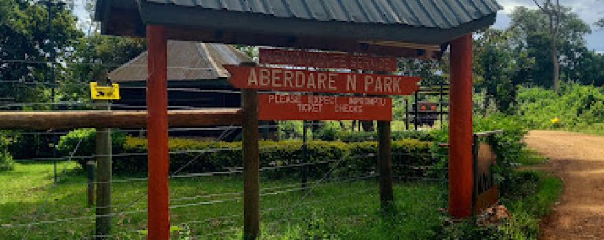 Ark Gate KWS Aberdare National Park
