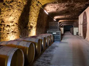 Caves Ambacia