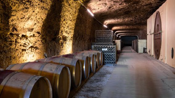 Caves Ambacia