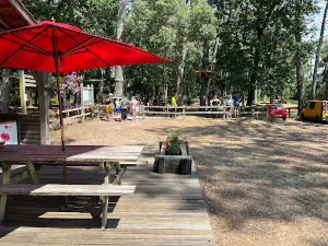 Jungle Park