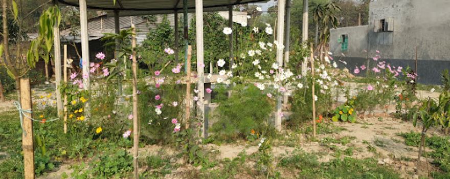 Peace Land Garden