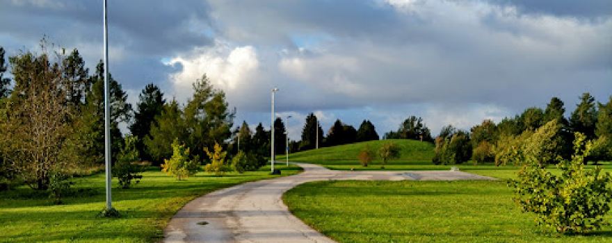 Padarimägi Käina Discgolf