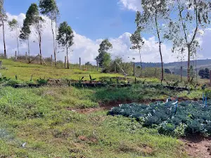 Mingalar Lake