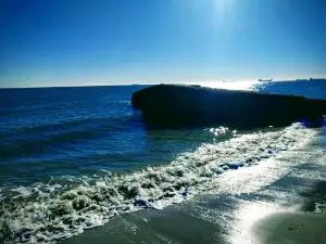 Skagen Kystbatteri