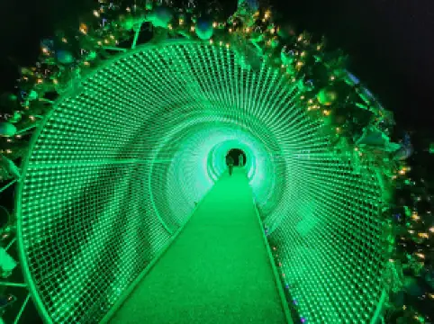 Callaway Fantasy in Lights