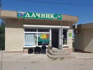 Dachnik