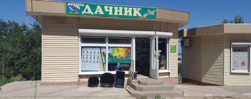 Dachnik