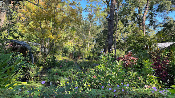 Paul H Witherspoon Nursery
