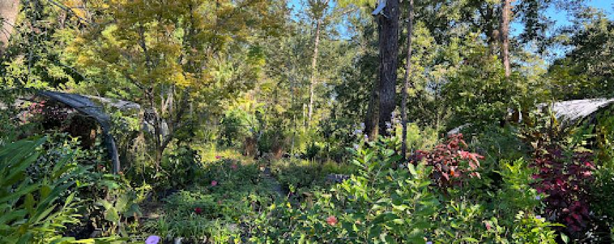 Paul H Witherspoon Nursery