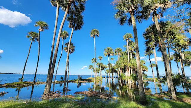 Manatee Hammock Campground