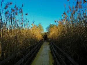 Riserva Naturale Regionale Lago di Serranella